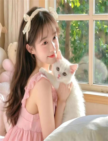 《秘密之城》美学价值分析：艺术美感与审美特征探讨，收视第一